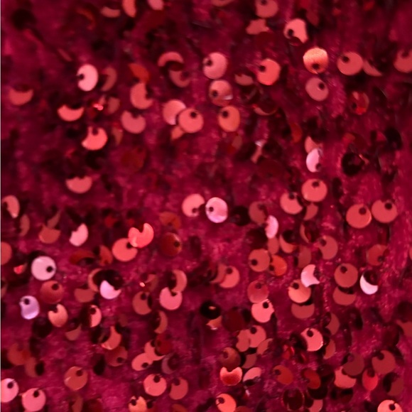 NWT ZARA Red velvet and sequin Dress SIZE 9 - Picture 6 of 6